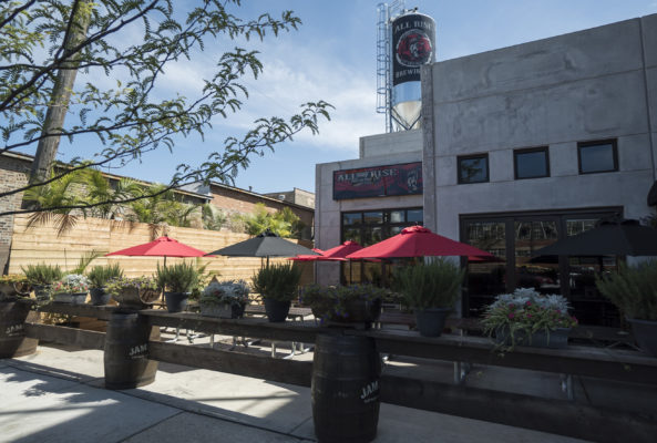 About – All Rise Brewing Co